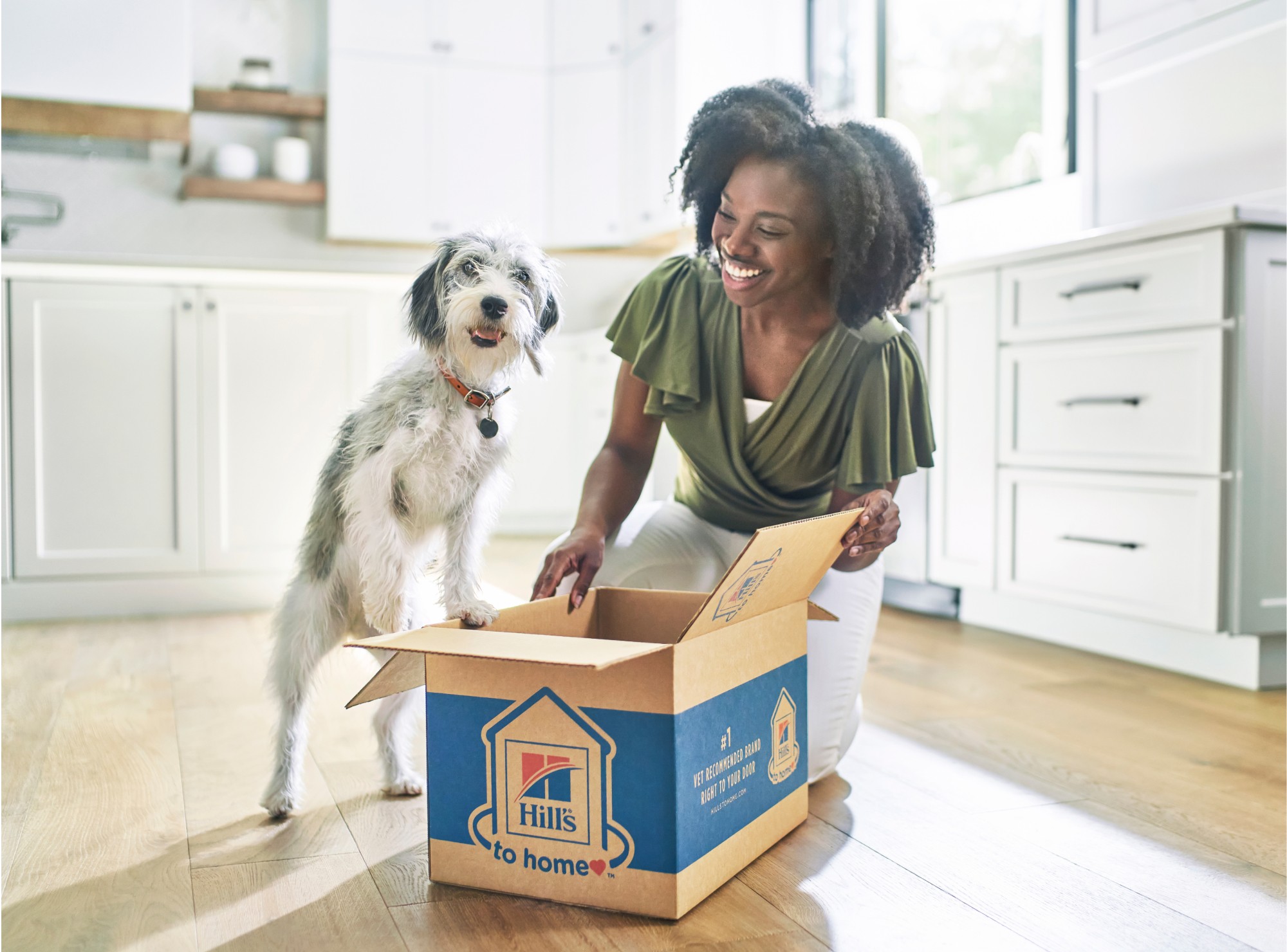 Colgate Palmolive / Hills to Home enterprise e-commerce product interface screen